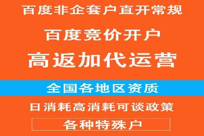 百度推广代运营公司成功案例解析